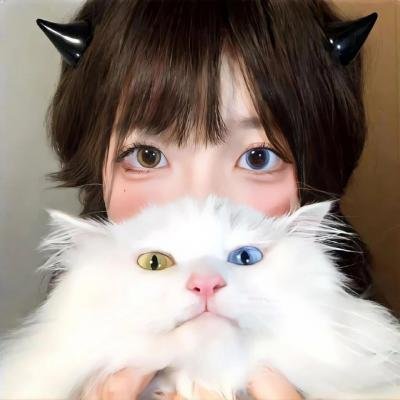 狮子山下的故事粤语